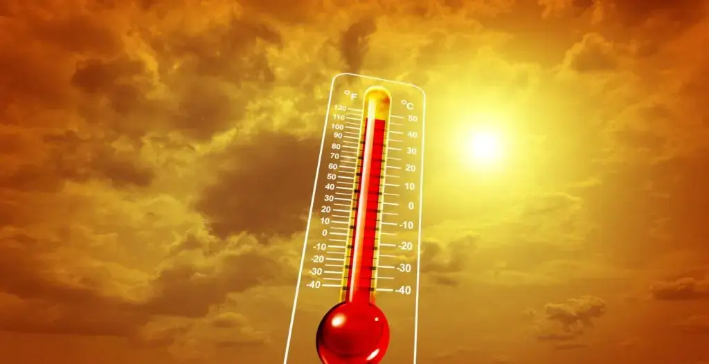 Ani dificili din cauza schimbărilor climatice, avertizează Organizația Meteorologică Mondială