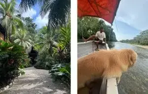 Călătorie transformatoare în Columbia: voluntariatul care schimbă vieți