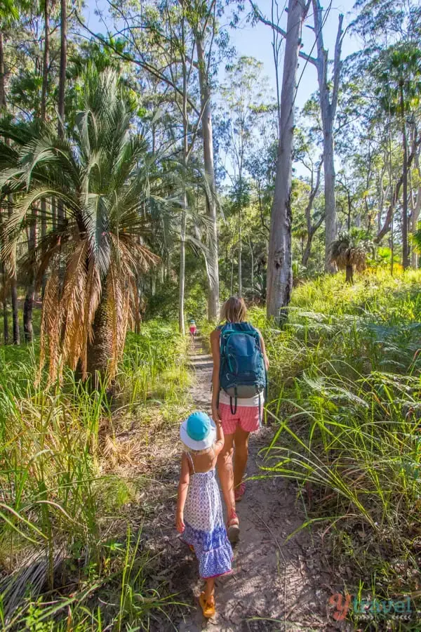 Carnarvon Gorge: O Evadare în Inima Australiei Sălbatice