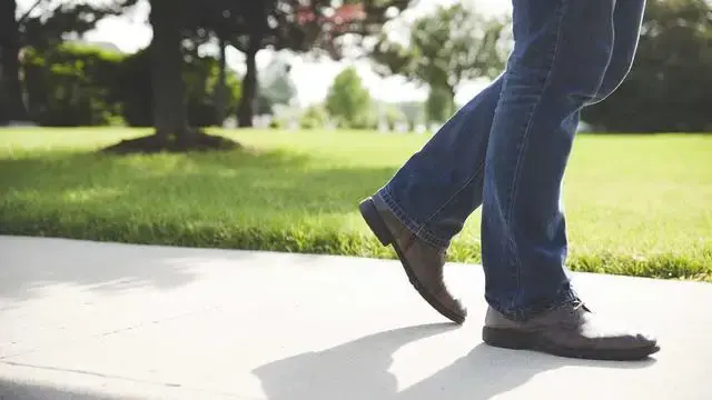 Cele mai bune linii de croaziere din America