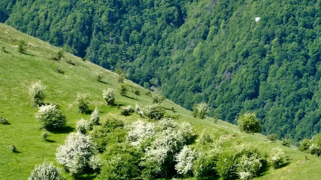 Curenții de ruptură: pericolul tăcut din mare