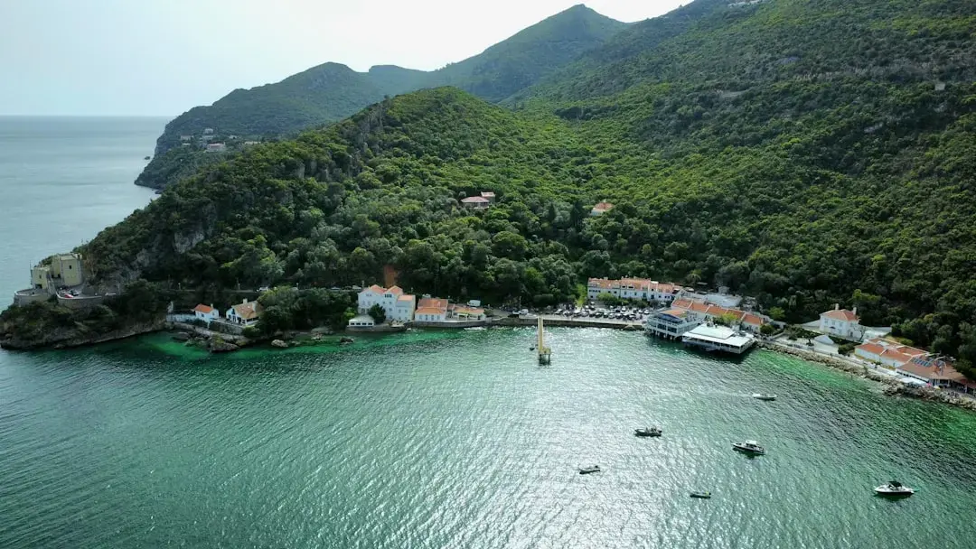 Farmecul de pe coastă: descoperirea celor mai bune lucruri din Carlsbad