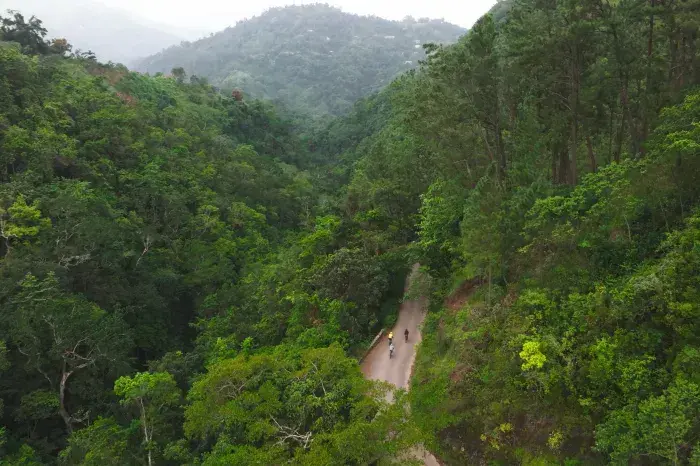 Învață Jamaica ca un local