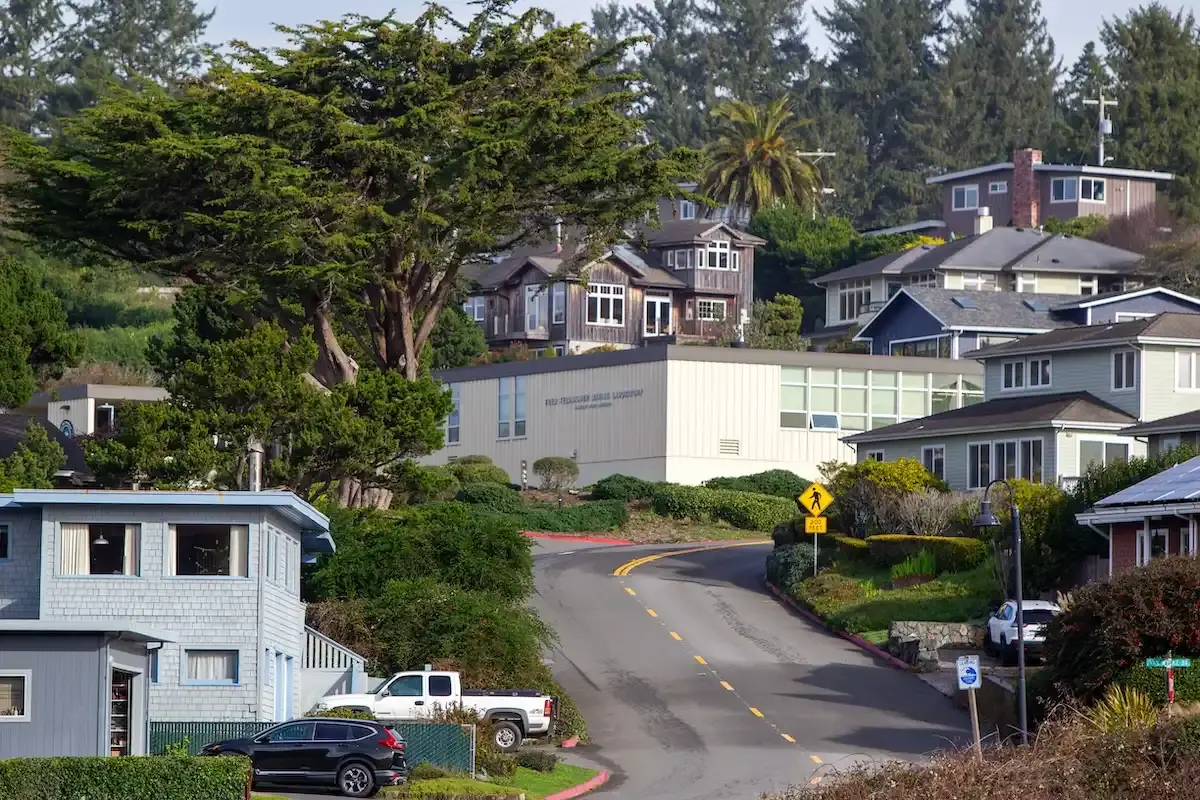 O bijuterie pe coasta Californiei, ascunsă vederii