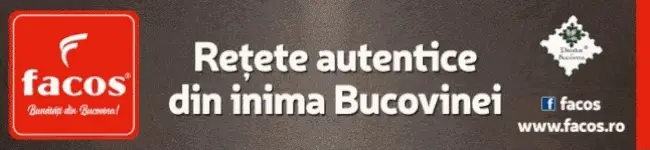 Vatra Dornei: Bătălia firmelor pentru revitalizarea Parcului Băilor