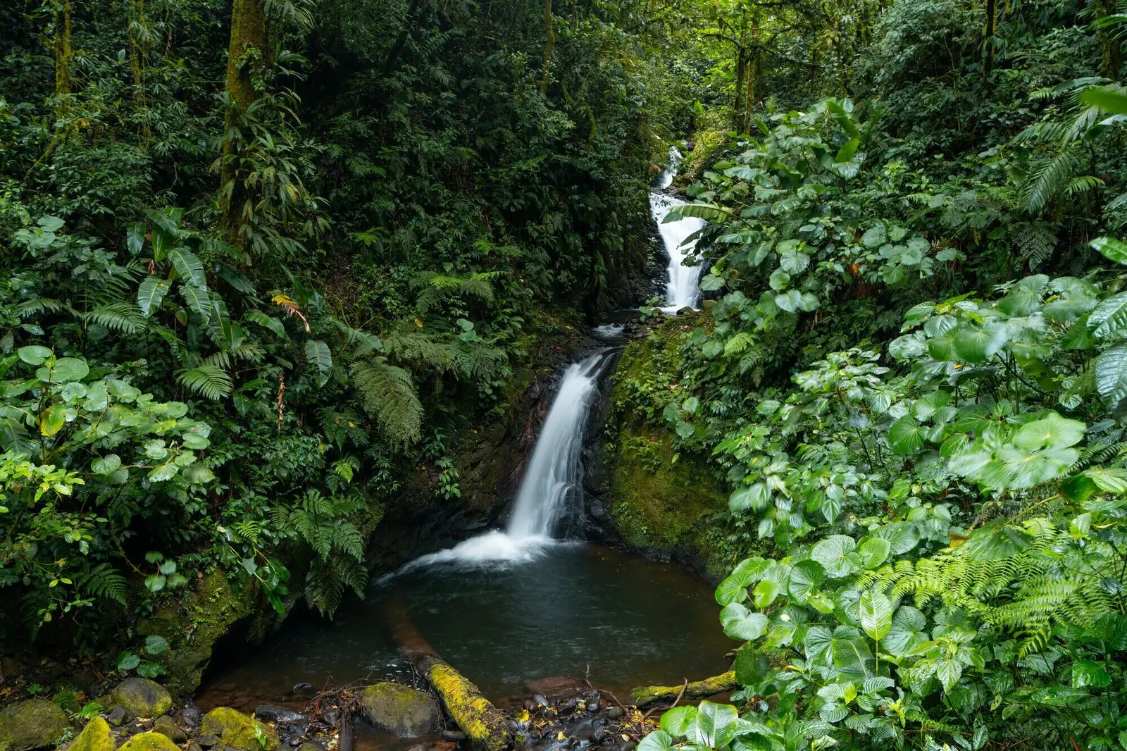 Monteverde: Pădurea de nori care te face să respiri altfel