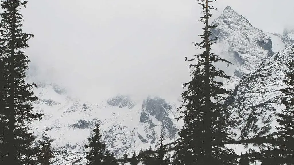 Rocky Mountaineer: O evadare panoramică prin inima Canadei