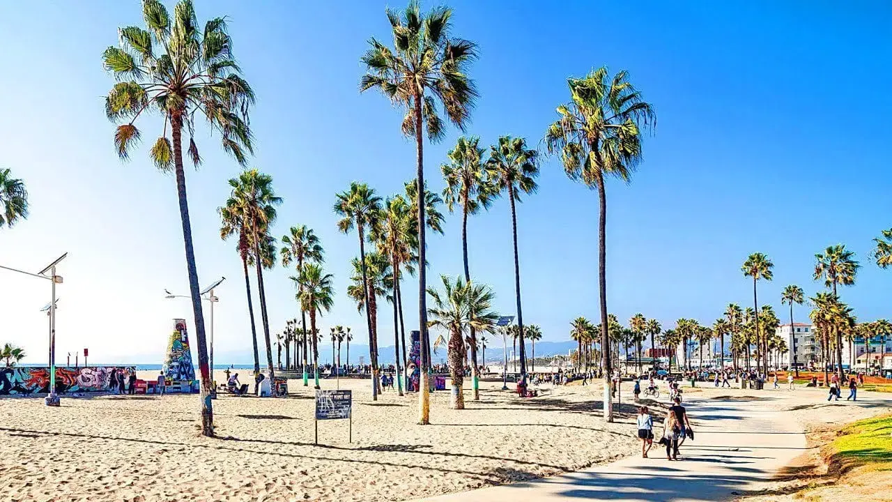 Zboruri spre Los Angeles cu Turkish Airlines: Ofertă de neratat la 719 euro