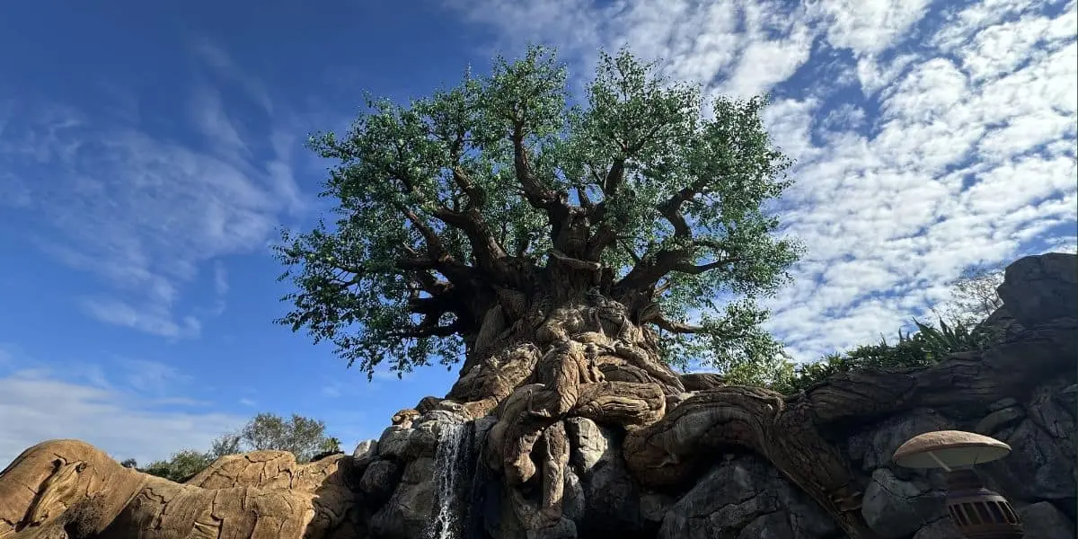 Animal Kingdom: Program schimbat de la 15 noiembrie — ce trebuie să știi