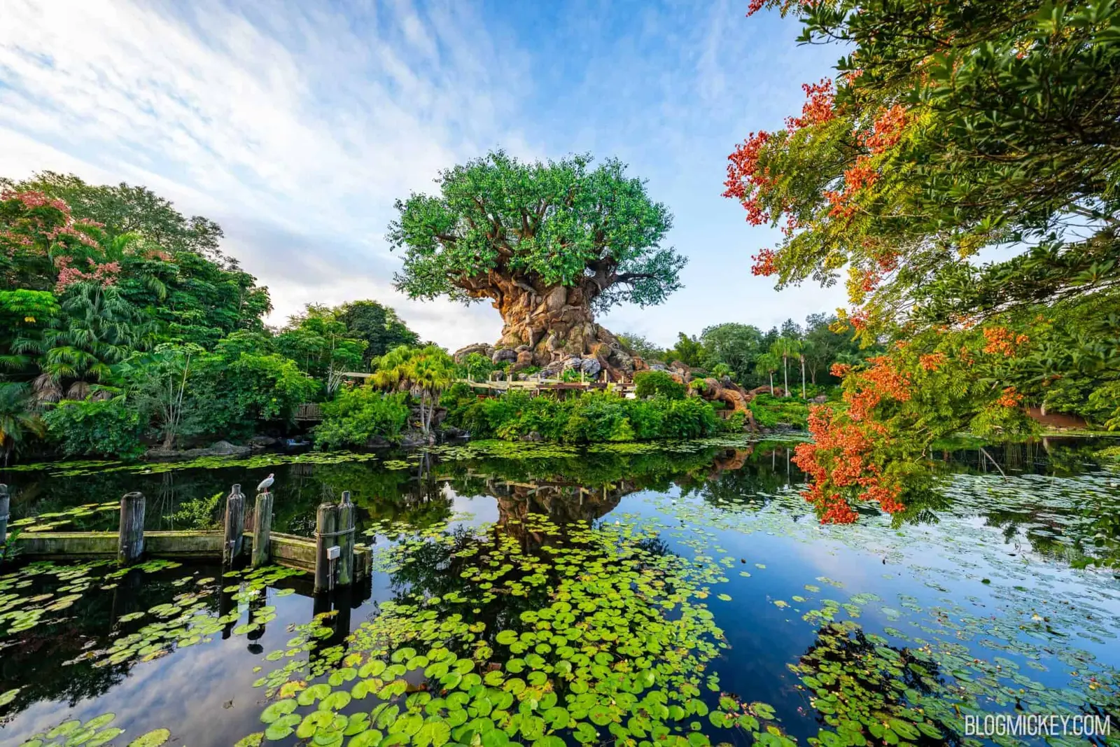 Este ceva mare debutul Animal Kingdom în acest sezon de vacanță?