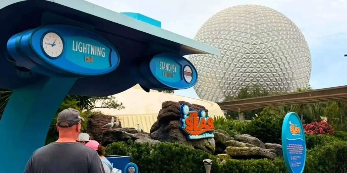 Disney World: Calfuccino, noul manat orfan, ajunge la EPCOT