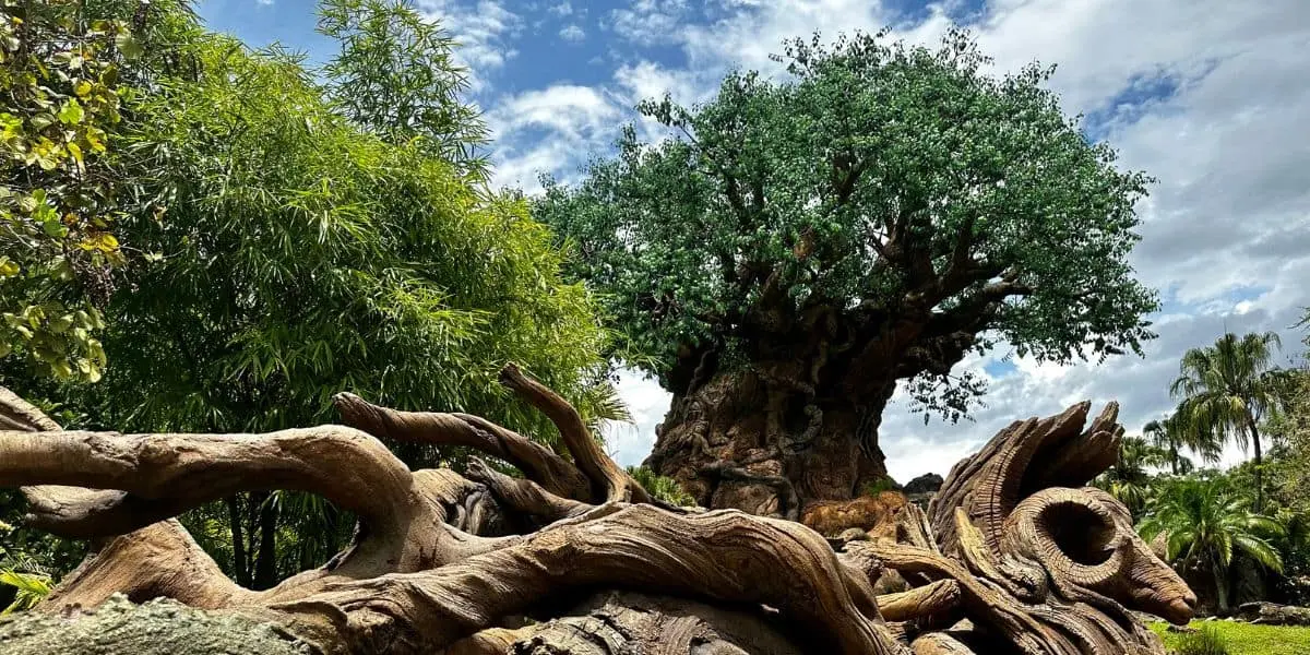 Disney World renunță definitiv la efectele speciale din Expedition Everest