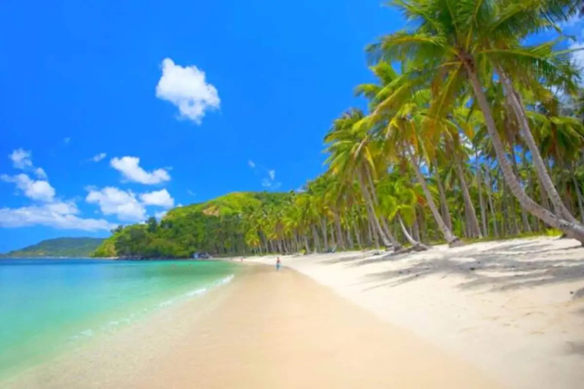 Filipine Camiguin Turismul se pregătește pentru 47-ul Festival Lanzones cu spectacol uimitor de drone și paradă vibrante