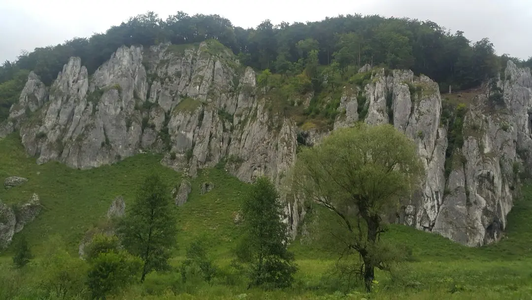 Frânghie rezistentă la tăiere: soluție durabilă pentru activități outdoor