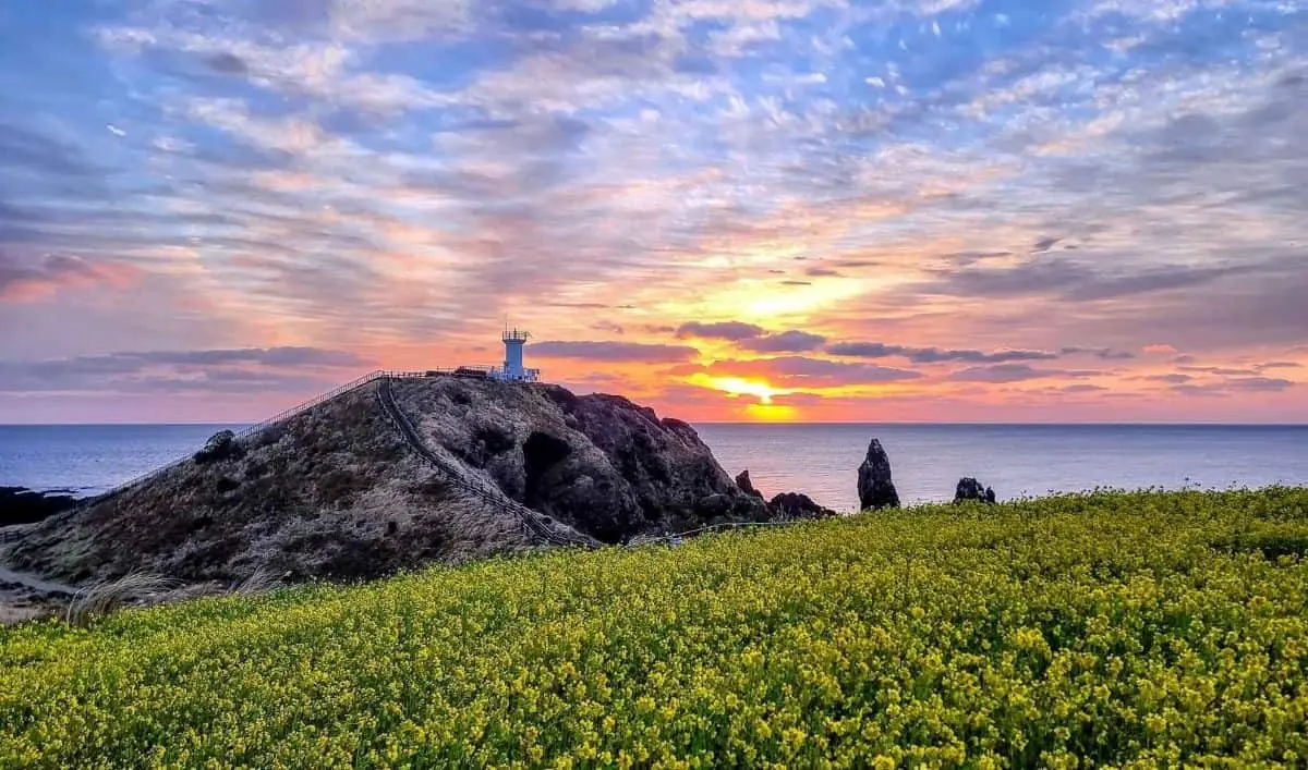 Jeonju, o comoară ascunsă a Coreei de Sud pentru iubitorii de cultură