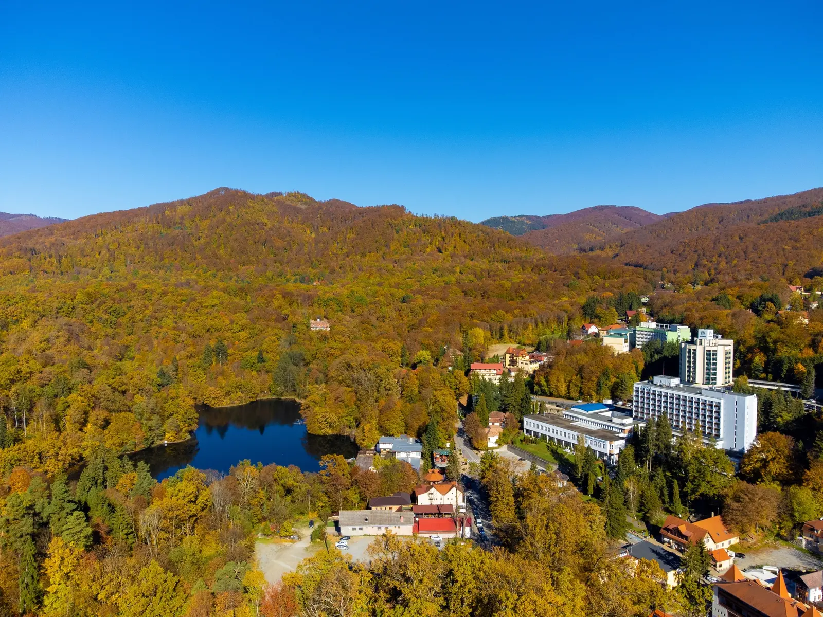 Parc tematic de 2,5 milioane de euro pentru urși, finanțat de UE, va fi construit la Sovata