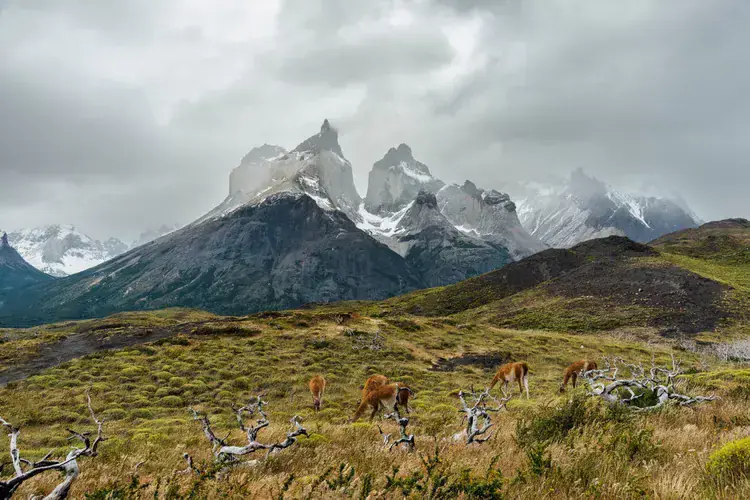 Salento urmează Patagonia și mai multe dintre pietrele de călătorie lipsite din America de Sud în centrul vacanțelor
