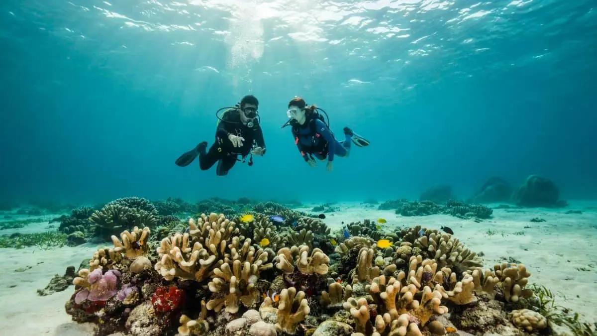 Seychelles pariază pe scufundări pentru a atrage turiști din Asia