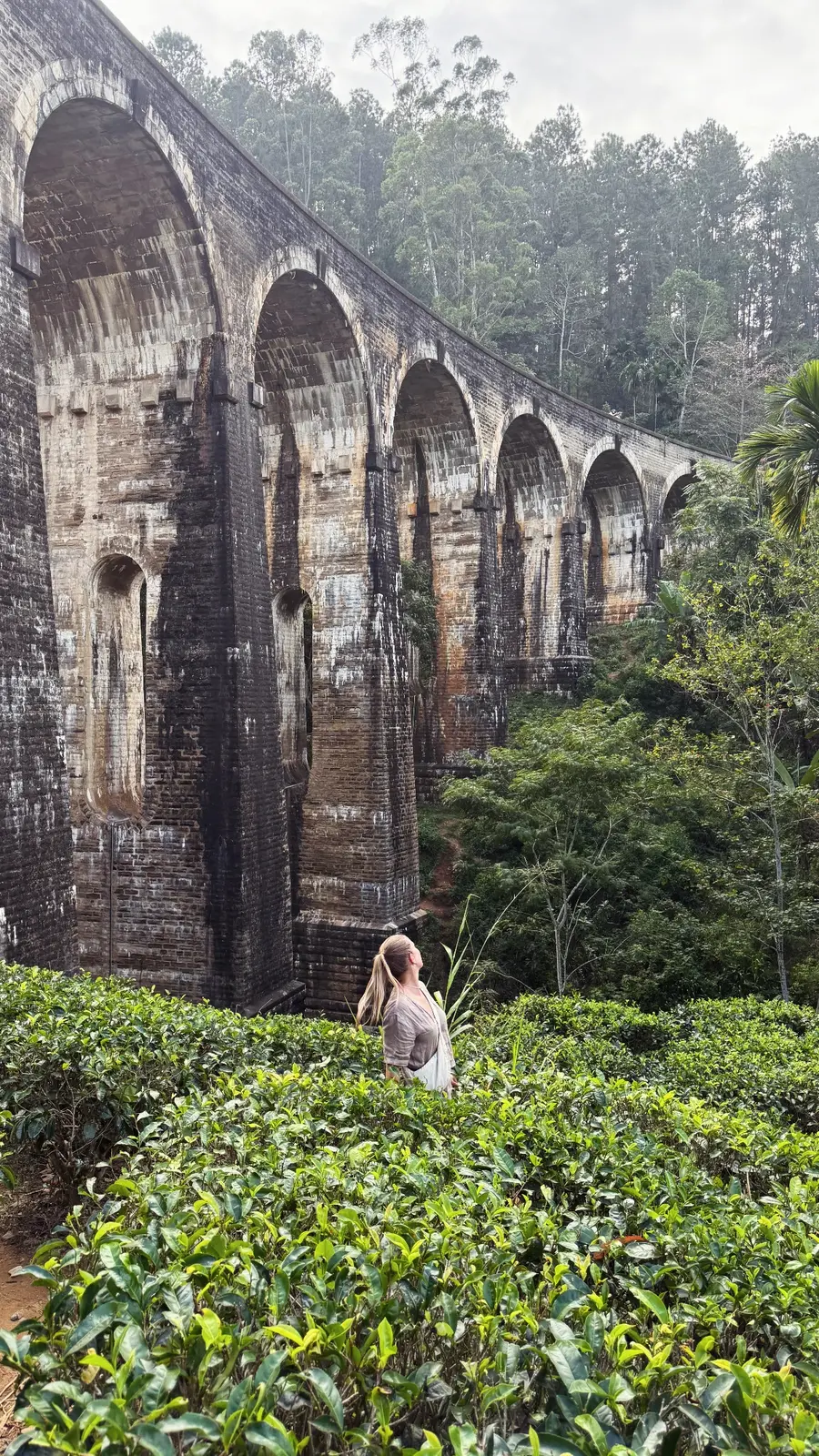 Sri Lanka: două săptămâni de aventură pe un buget de hostel