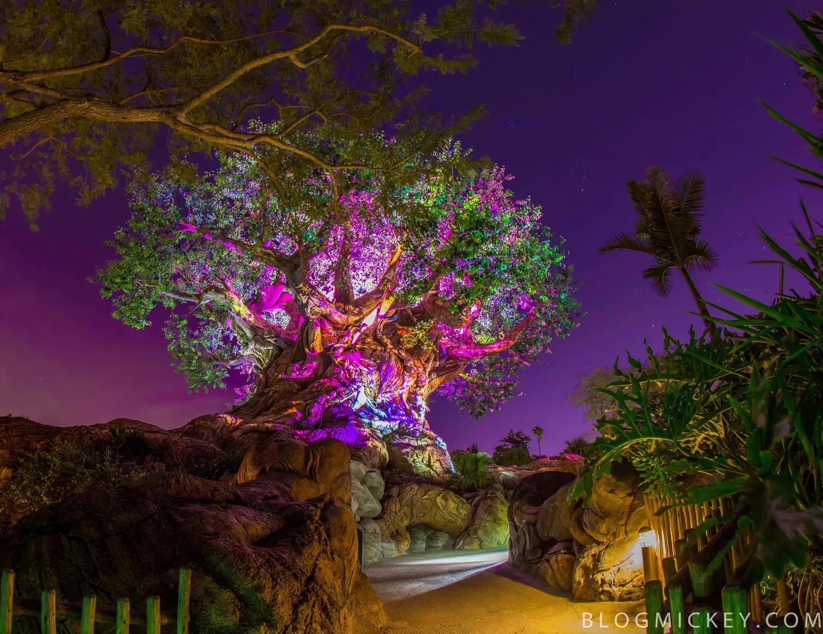 Tree of Life Awakenings revine la Animal Kingdom de duminică, 1 noiembrie