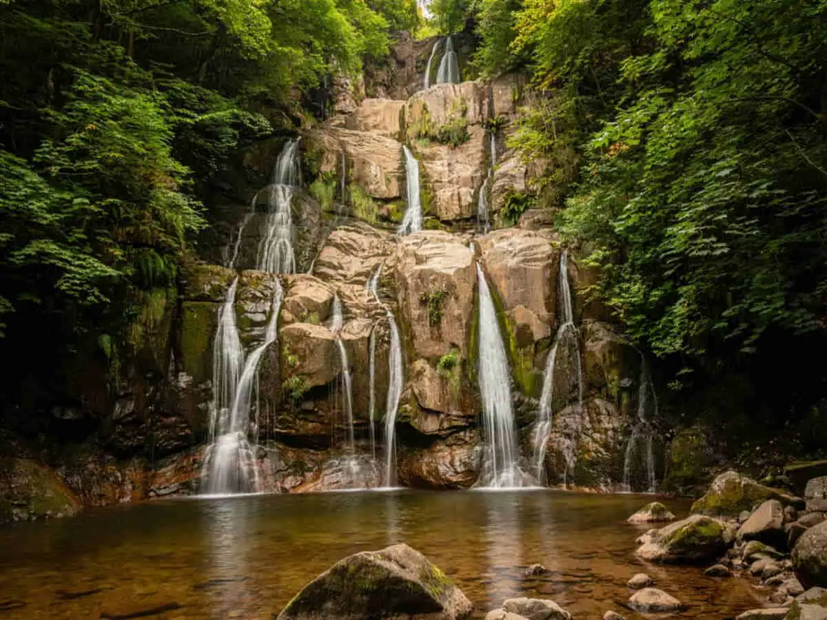 Turismul din pădurile tropicale din Malaezia zăbunește cu fauna sălbatică rară, cascade majestă și aventuri de junglă