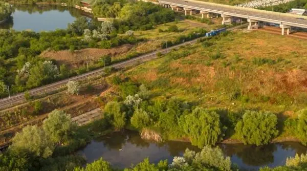 Valea Saulei din București ar putea deveni arie naturală protejată, cu peste 80 de specii de păsări