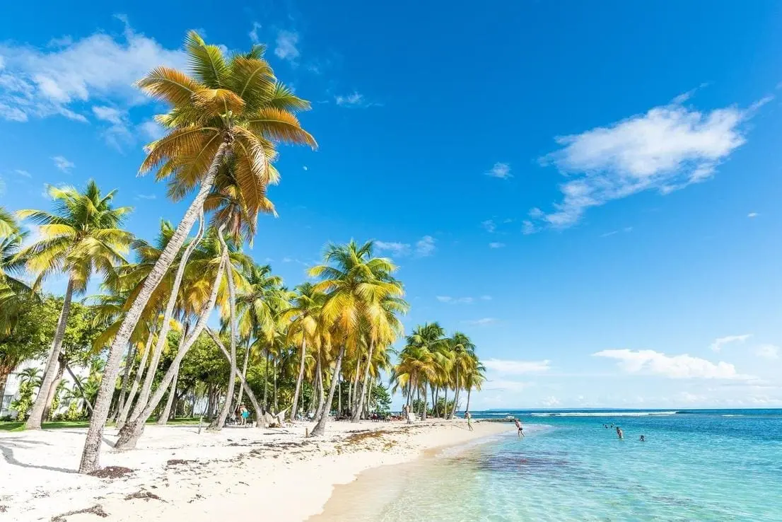 Evadare în Caraibe: Zboruri spre Guadelupa la prețuri de nerefuzat